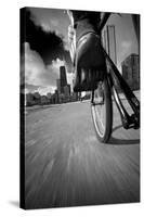 Biking Chicagos Lakefront BW-Steve Gadomski-Stretched Canvas
