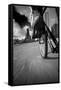 Biking Chicagos Lakefront BW-Steve Gadomski-Framed Stretched Canvas