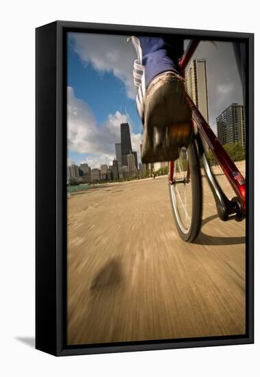 Biking Chicagos Lakefront-Steve Gadomski-Framed Stretched Canvas