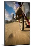 Biking Chicagos Lakefront-Steve Gadomski-Mounted Photographic Print