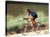 Biking in Vail, Colorado, USA-Lee Kopfler-Stretched Canvas
