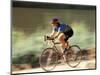 Biking in Vail, Colorado, USA-Lee Kopfler-Mounted Photographic Print