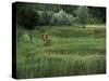 Biking on a Nature Trail-null-Stretched Canvas