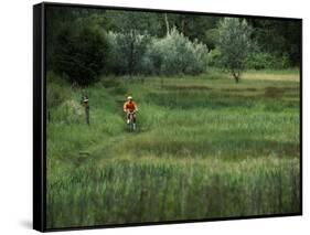Biking on a Nature Trail-null-Framed Stretched Canvas