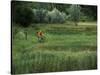 Biking on a Nature Trail-null-Stretched Canvas