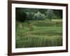 Biking on a Nature Trail-null-Framed Photographic Print