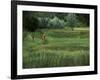 Biking on a Nature Trail-null-Framed Photographic Print