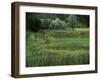 Biking on a Nature Trail-null-Framed Photographic Print