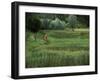 Biking on a Nature Trail-null-Framed Photographic Print