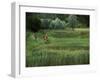 Biking on a Nature Trail-null-Framed Photographic Print