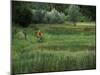 Biking on a Nature Trail-null-Mounted Photographic Print