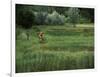 Biking on a Nature Trail-null-Framed Photographic Print