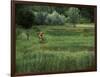 Biking on a Nature Trail-null-Framed Photographic Print