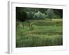 Biking on a Nature Trail-null-Framed Photographic Print