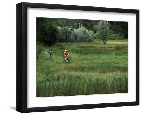 Premium Photographic Print, , large