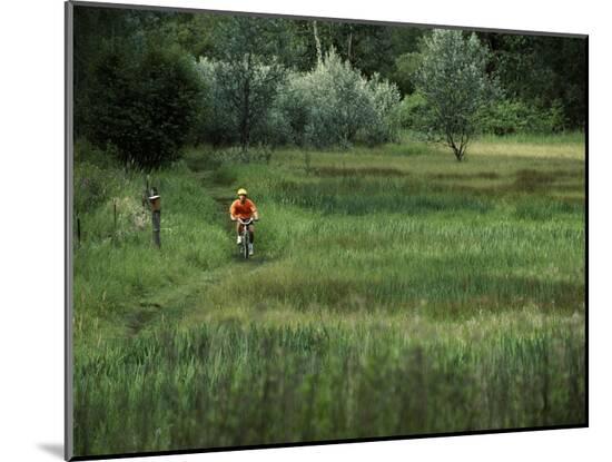 Photographic Print, , large