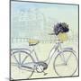 Biking Through Amsterdam-Naomi McCavitt-Mounted Art Print