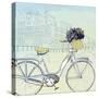 Biking Through Amsterdam-Naomi McCavitt-Stretched Canvas