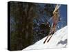 Bikini Clad Snow Skier-null-Stretched Canvas