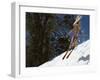 Bikini Clad Snow Skier-null-Framed Premium Photographic Print