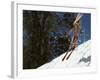 Bikini Clad Snow Skier-null-Framed Photographic Print