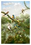 Birds of Plenty-Bilben-Framed Art Print