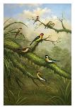 Birds of Plenty-Bilben-Art Print