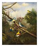 Birds of Plenty-Bilben-Art Print