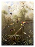 Birds of Plenty-Bilben-Mounted Art Print