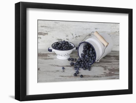 Bilberries with Enamelware-Andrea Haase-Framed Photographic Print