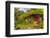 Bilbo's Village New Zealand-null-Framed Art Print