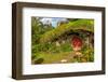 Bilbo's Village New Zealand-null-Framed Art Print