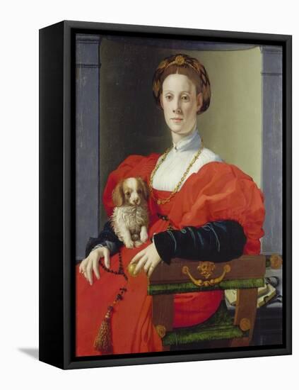 Bildnis Einer Dame Mit Schosshuendchen, 1537-1540-Agnolo Bronzino-Framed Stretched Canvas