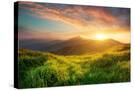 Stretched Canvas