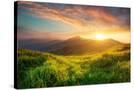 Stretched Canvas