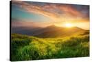 Stretched Canvas