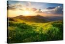 Stretched Canvas