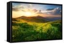 Canvas Black