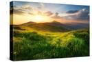 Stretched Canvas