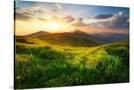 Stretched Canvas