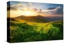 Stretched Canvas