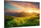 Stretched Canvas