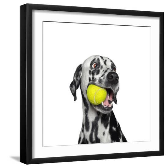 Premium Photographic Print, , large