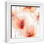 White Frame