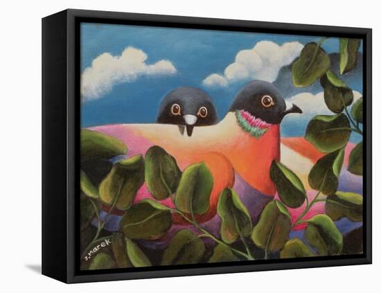 Bill and Coo-Jerzy Marek-Framed Stretched Canvas