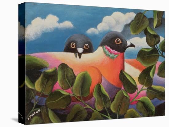 Bill and Coo-Jerzy Marek-Stretched Canvas