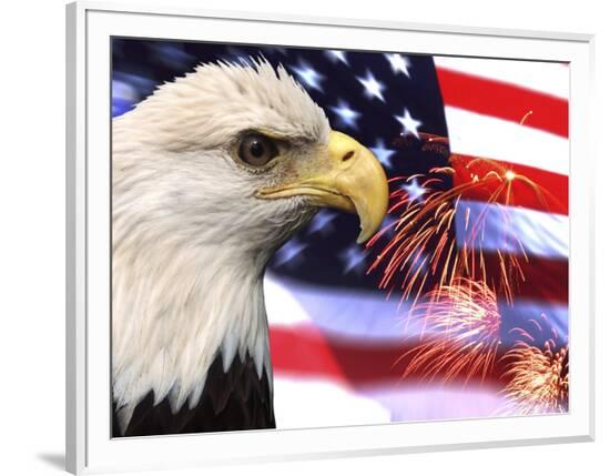 Framed Photographic Print, , large