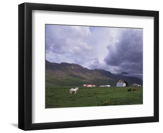 Photographic Print, , large