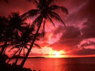 Palms And Sunset at Tumon Bay, Guam