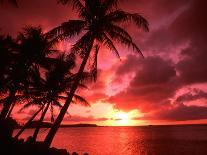 Palms And Sunset at Tumon Bay, Guam-Bill Bachmann-Photographic Print